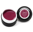 CANNI Gel Paint №543 - Гель-фарба (бордовий), 5 мл