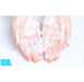 Фото 2 - Etude House Baking Powder Pore Cleansing Foam - Пенка для очищения пор, 160 мл