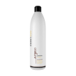 Шампунь Profi Style Argan Shampoo для сухого та пошкодженого волосся живильний, 1000 мл