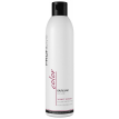 Profi Style Balsam Color Protection For Colored Hair - Бальзам-захист кольору для фарбованого волосся, 250 мл