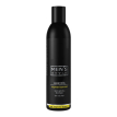 Profi Style Men's Style Normalizing Shampoo for oily hair - Шампунь для чоловіків для жирного волосся, 250 мл