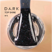 Топ Dark Shine Top 4 з різнокольоровим мікроблиском, 10 мл