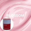 Гель для ногтей Easy Everyday Gel blossom моделирующий пудра, 30 мл