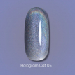 Гель-лак Dark gel polish Hologram cat 05 кошачий глаз голографический голубой, 6 мл